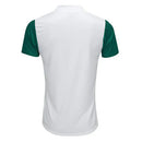 Camiseta Palmeiras 25/26 II Visitante - Versión Jugador