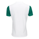 Camiseta Palmeiras 25/26 II Visitante - Versión Aficionado