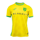 Camiseta Norwich 24/25 I Casa - Versión Aficionado