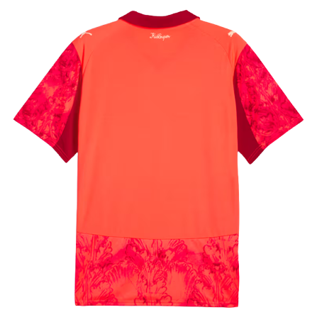 Camiseta Palmeiras 25/26 II Edición Especial - Versión Aficionado