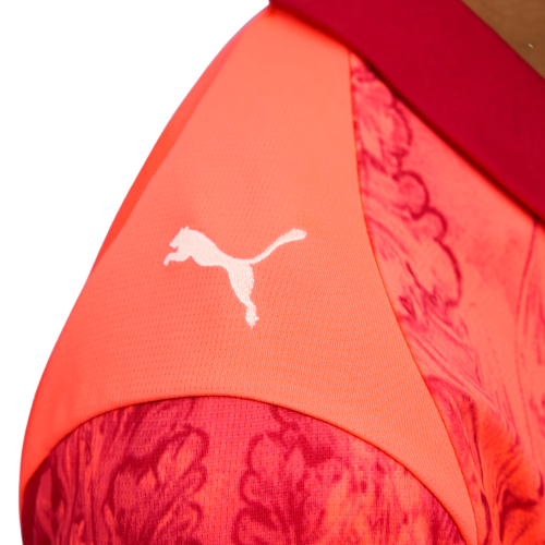 Camiseta Palmeiras 25/26 II Edición Especial - Versión Aficionado