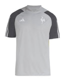 Camiseta Atlético Mineiro 24/25 Entrenamiento - Gris - Versión Aficionado